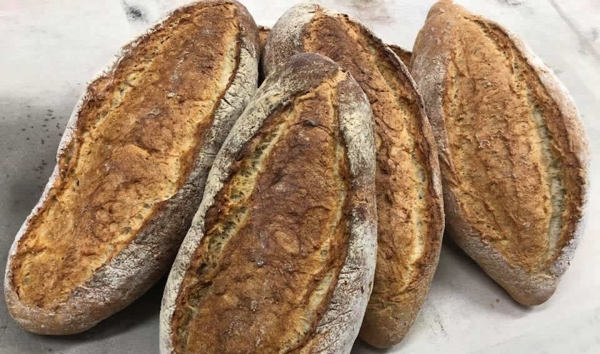 Pane